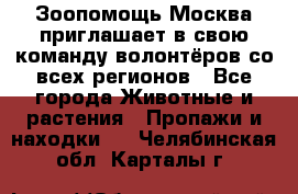 Зоопомощь.Москва приглашает в свою команду волонтёров со всех регионов - Все города Животные и растения » Пропажи и находки   . Челябинская обл.,Карталы г.